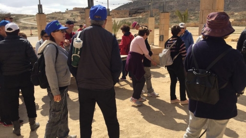 טיולים מזמרים