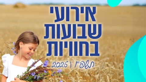Main article image